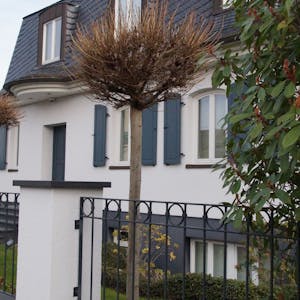 Das Foto zeigt eine Villa in Wesseling-Urfeld. Mit 3,4 Millionen Euro ist es derzeit das teuerste Objekt auf der Online-Immobilienseite „Immoscout24“.