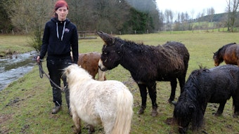 Sabine Thur betreibt in Kronenburg den Gnadenhof "Liberte", auf dem sie unter anderem neun Mini-Shetland-Ponys und einen Esel hält.
