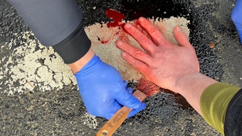Die Hand eines Klima-Aktivisten wird vom Asphalt einer Straße in Köln mit Öl gelöst.