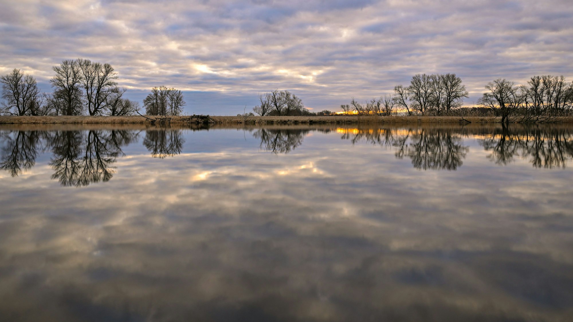 Am frühen Morgen spiegelt sich die Landschaft im glatten Wasser eines Nebenarms vom deutsch-polnischen Grenzfluss Oder.