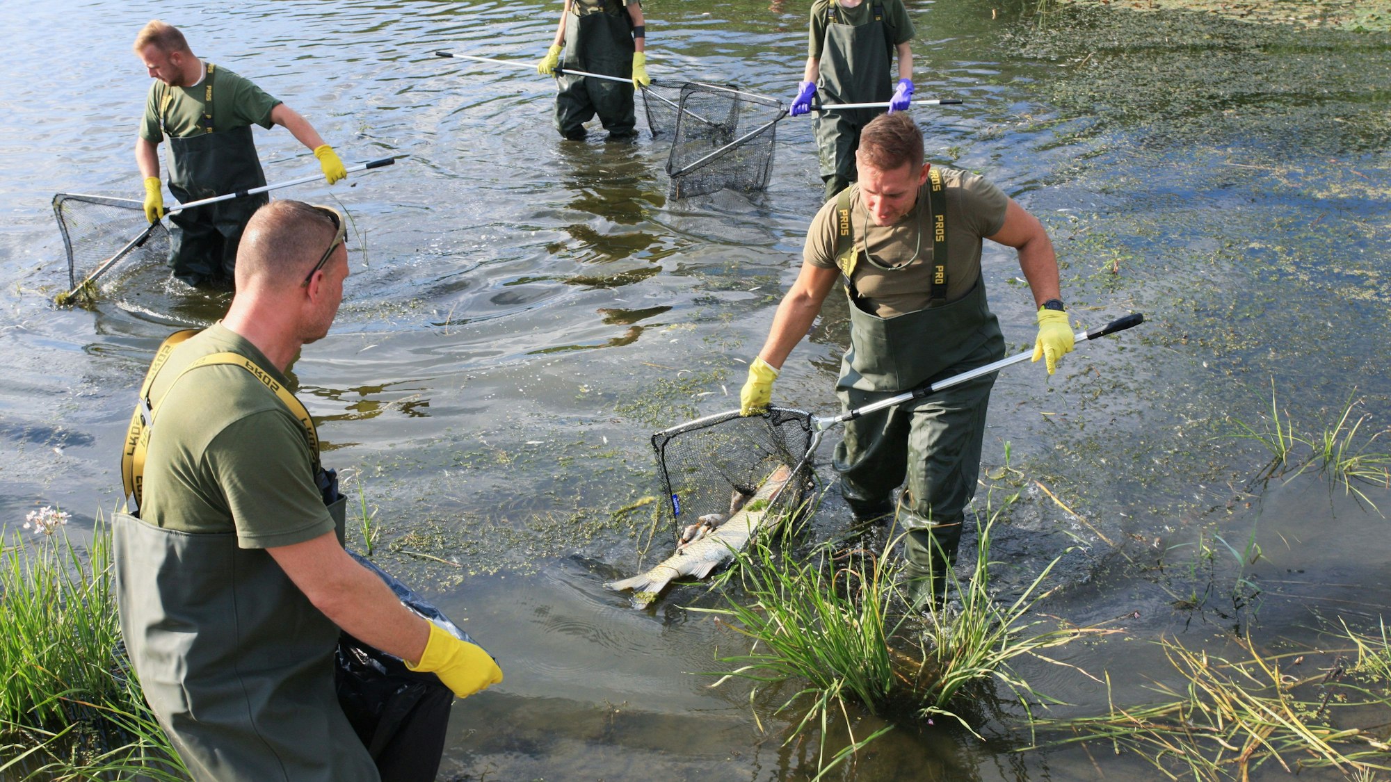 Soldaten und Feuerwehrleute sammeln im August 2022 tote Fische aus der Oder.