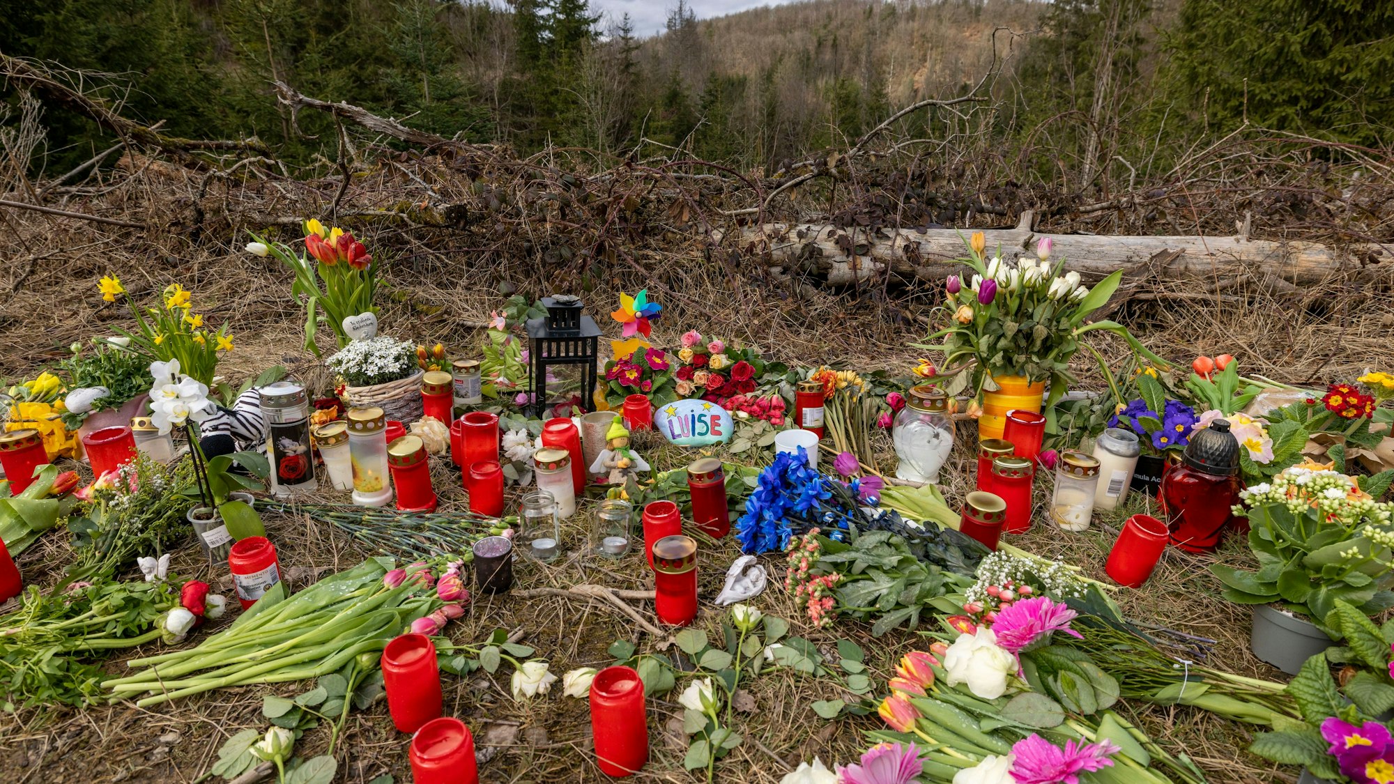 Freudenberg: Kerzen, Blumen und einige Kuscheltiere liegen an der Stelle im Wald, an der die Menschen in Freudenberg Abschied von Luise nehmen.