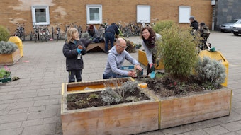 Matteo Langner, Stefan Winkelmann und Sonja Langner (v.l.)  bepflanzen eines der Hochbeete. Foto: Uwe Schäfer