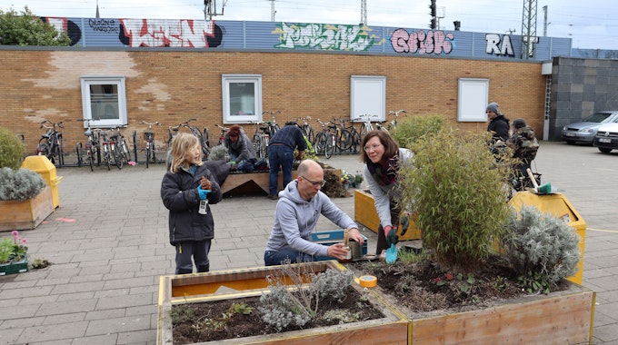 Matteo Langner, Stefan Winkelmann und Sonja Langner (v.l.)  bepflanzen eines der Hochbeete. Foto: Uwe Schäfer