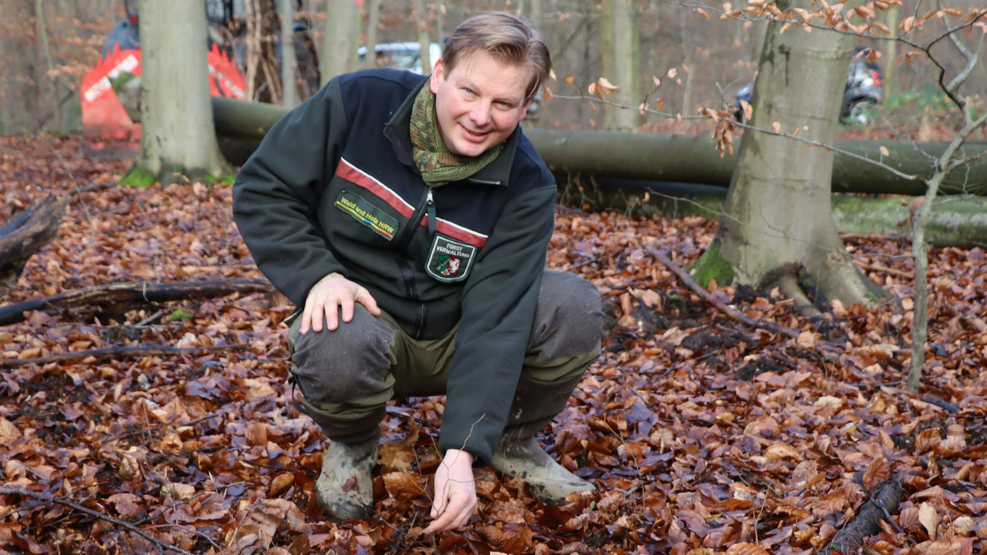 Das Foto zeigt Förster Frank Pechtheyden knieend im Wald. Er zeigt einen jungen Spross. Tausende solcher Triebe wachsen jährlich aus dem Waldboden.