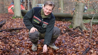 Das Foto zeigt Förster Frank Pechtheyden knieend im Wald. Er zeigt einen jungen Spross. Tausende solcher Triebe wachsen jährlich aus dem Waldboden.