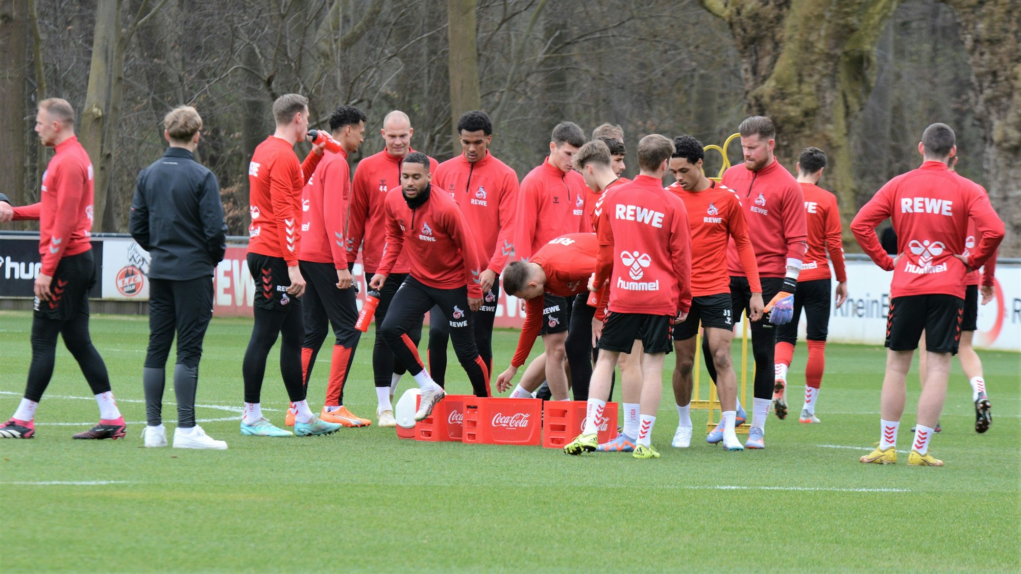 Der 1. FC Köln steht beim ersten Training der Länderspielpause am Montagvormittag auf dem Rasen.