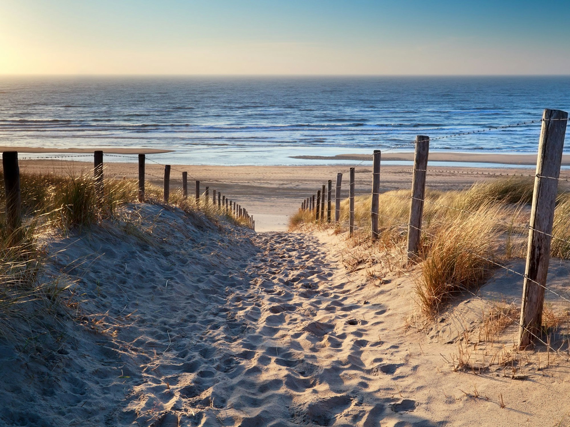 Warmer Sand, raues Meer und hohe Dünen - Wo lässt sich besser Urlaub machen als in Holland?