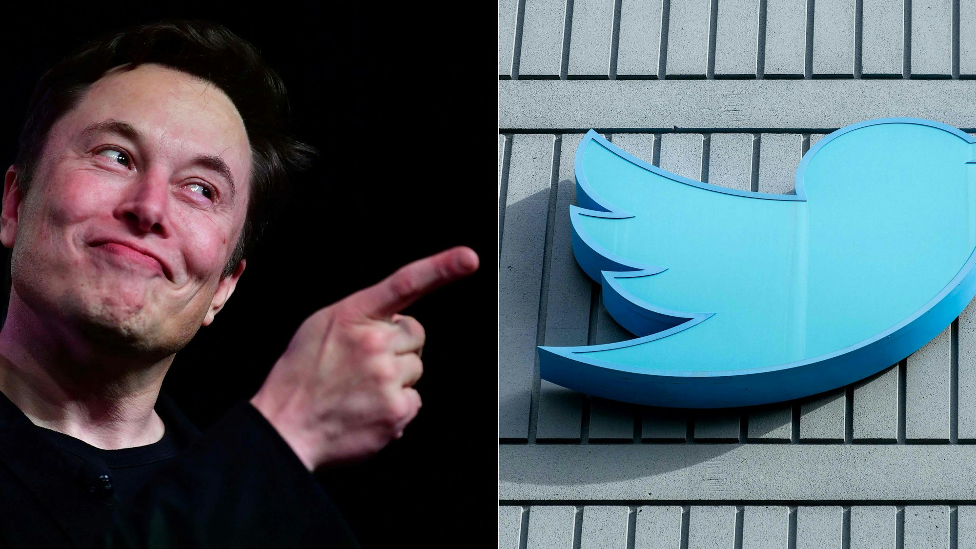 Bilder-Kombination: Elon Musk ist links zu sehen, er zeigt auf das Twitter-Logo, das an einer Hausfassade ist.