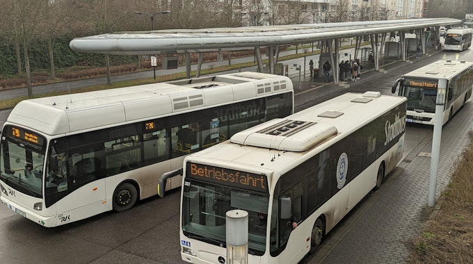 Auf dem Foto sind drei weiße Stadtbusse am Busbahnhof in Hürth-Mitte zu sehen.