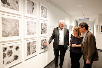 Frei zugänglich ist die Ausstellung im CECAD-Zentrum in der Joseph-Stelzmann-Straße.