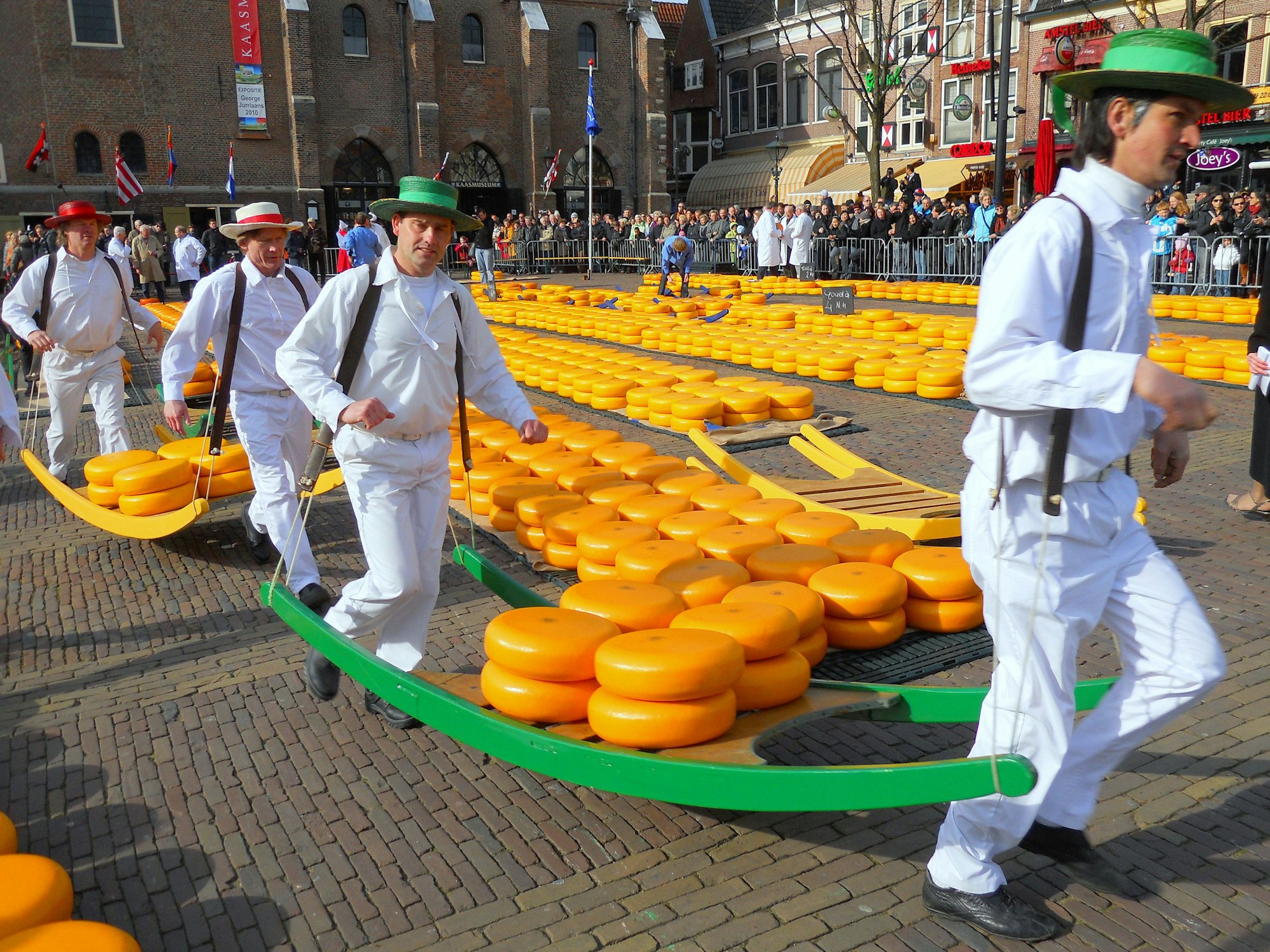 Käseträger bringen Goudaräder in der nordholländischen Stadt Alkmaar beim traditionellen Käsemarkt zu den Händlern.