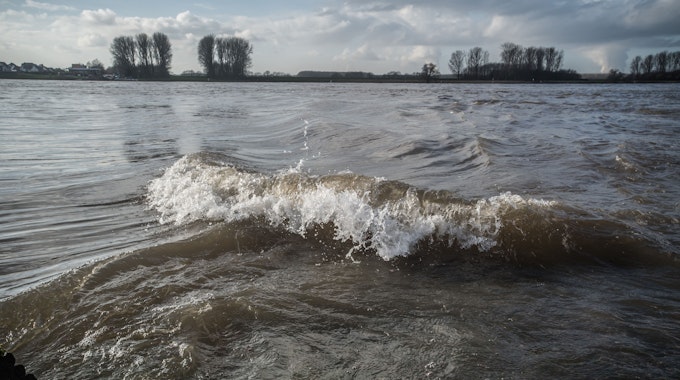 Eine Welle kräuselt sich auf dem Rhein.&nbsp;