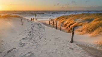Das Foto zeigt den Strand von Petten aan Zee im Sonnenuntergang.