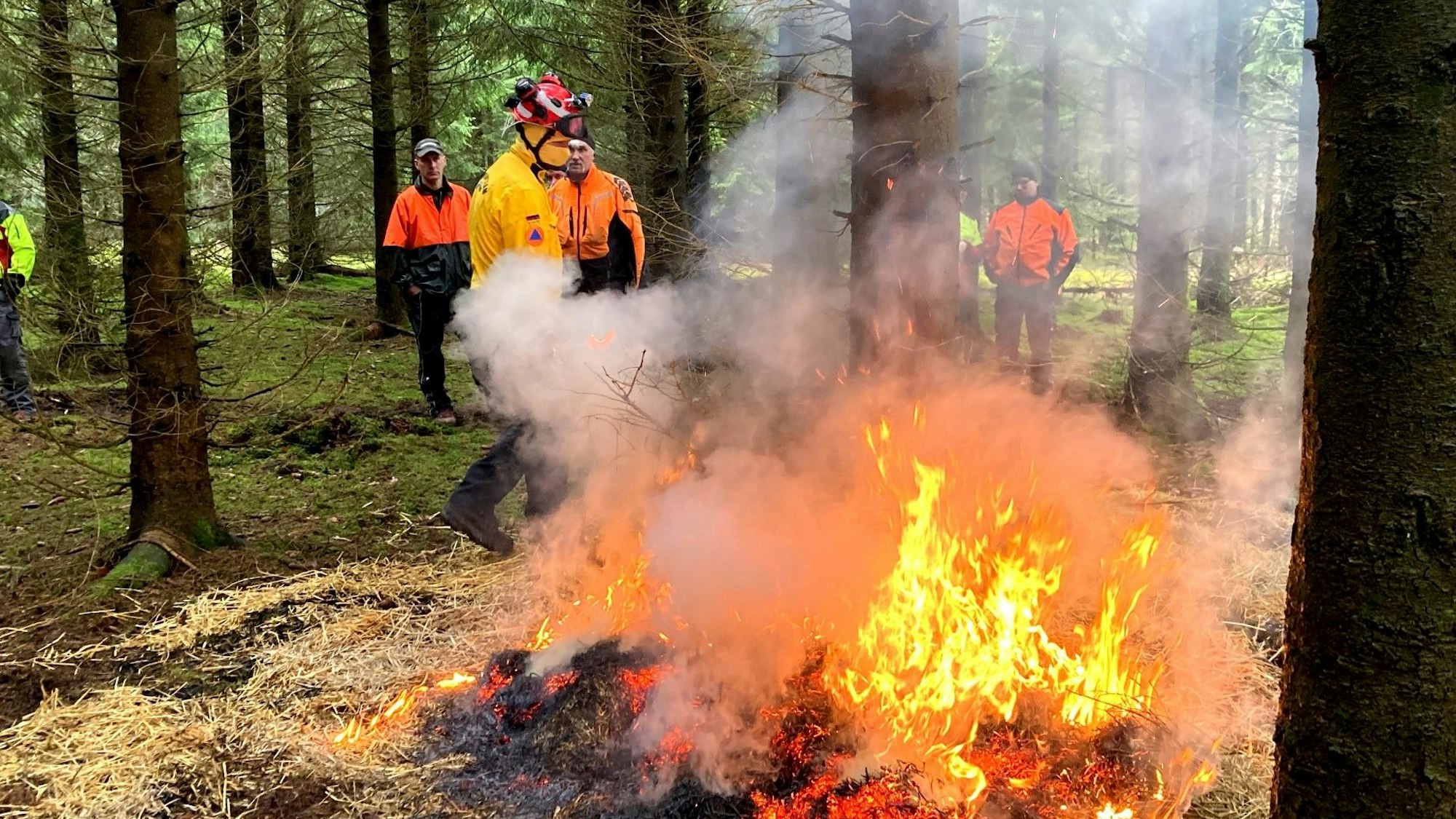 Gerrit Lindlein überwacht einen Übungsbrand bei einer Schulung zur Vegetationsbrandbekämpfung der Nationalparkverwaltung Eifel.