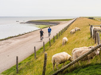 Radfahrer fahren an einem Deich in der niederländischen Provinz Nordholland vorbei.