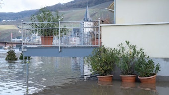 Ein Balkon wird fast von Hochwasser erreicht, drei Balkonpflanzen stehen unter Wasser.