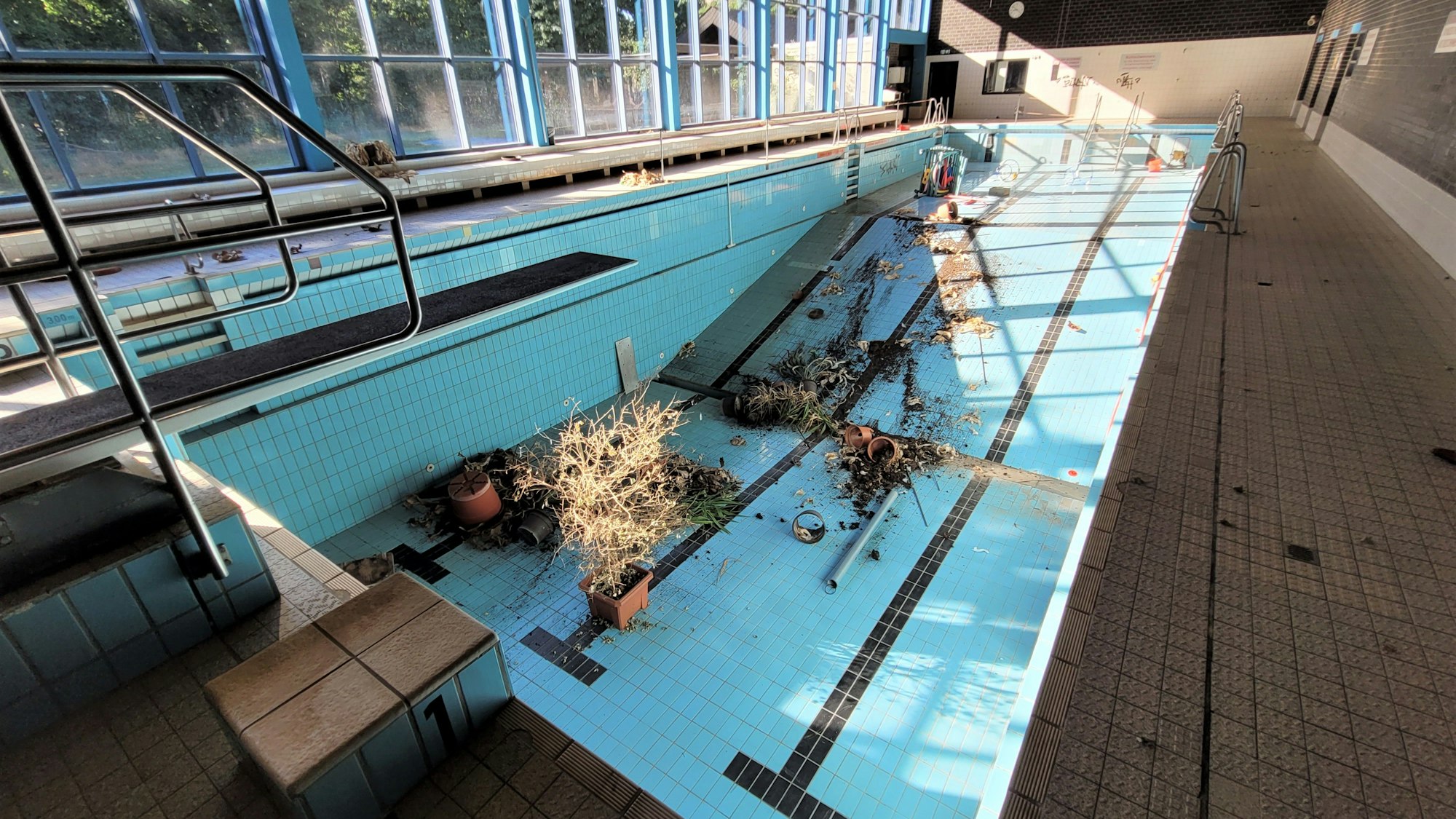 Ein Becken des Kaller Schwimmbads ohne Wasser. Pflanzen und Töpfe liegen zerstört auf dem Boden des Beckens.