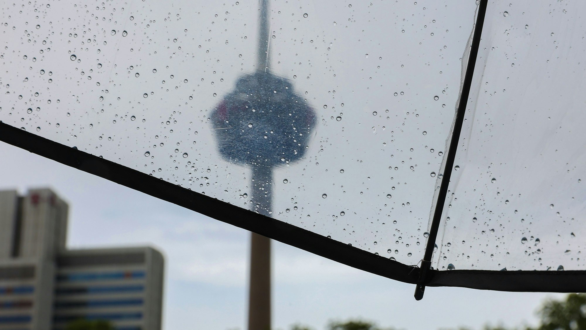 Ein Regenschirm mit mehreren Regentropfen ist vor dem Kölner Fernsehturm Colonius im Grüngürtel zu sehen. (Symbolbild)