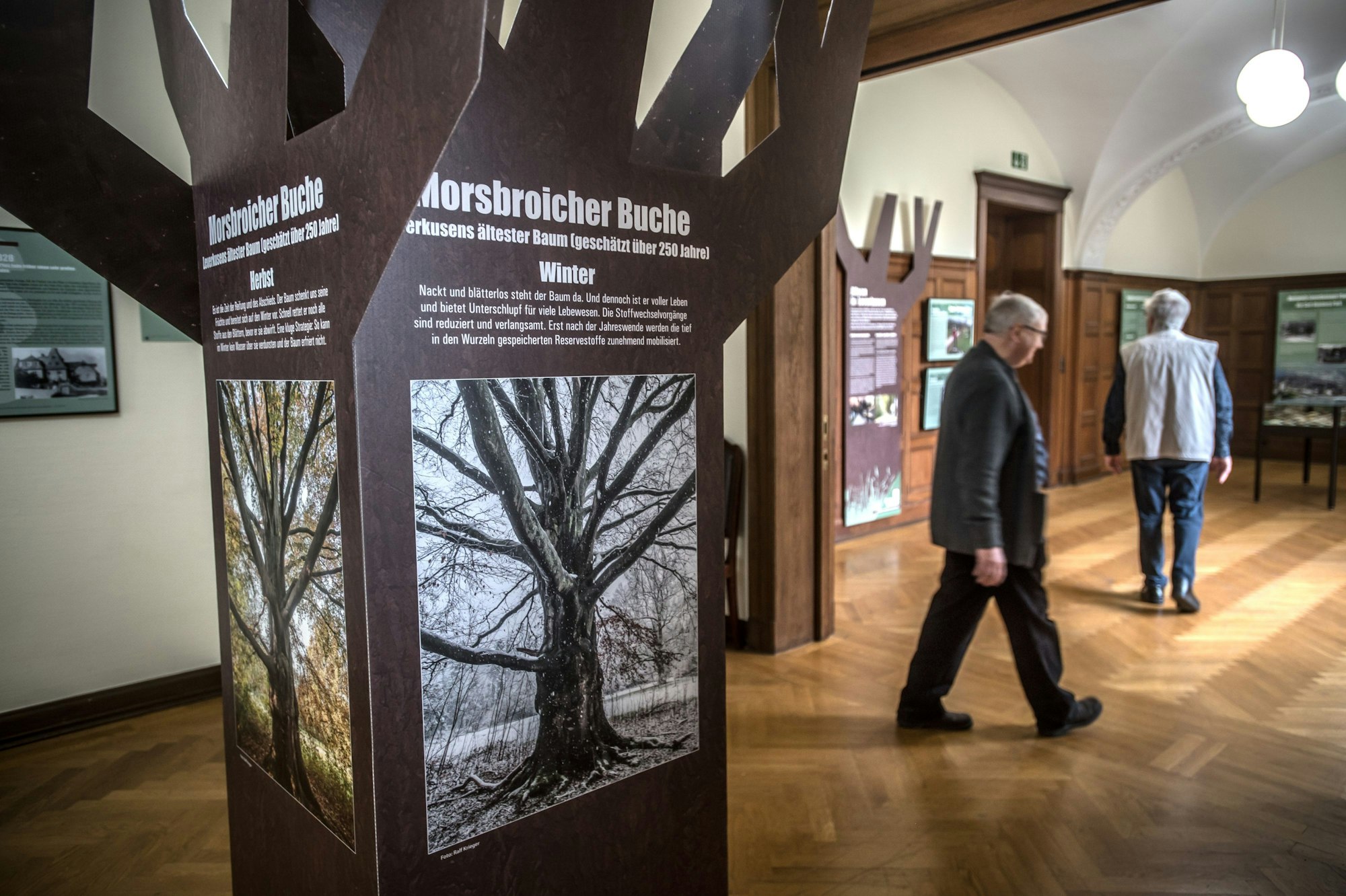 Ausstellung Bäume in Leverkusen in der Villa Römer