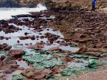 Dieses Foto, das von der Federal University of Parana veröffentlicht wurde, zeigt das Plastikgestein am Strand von Trindade.