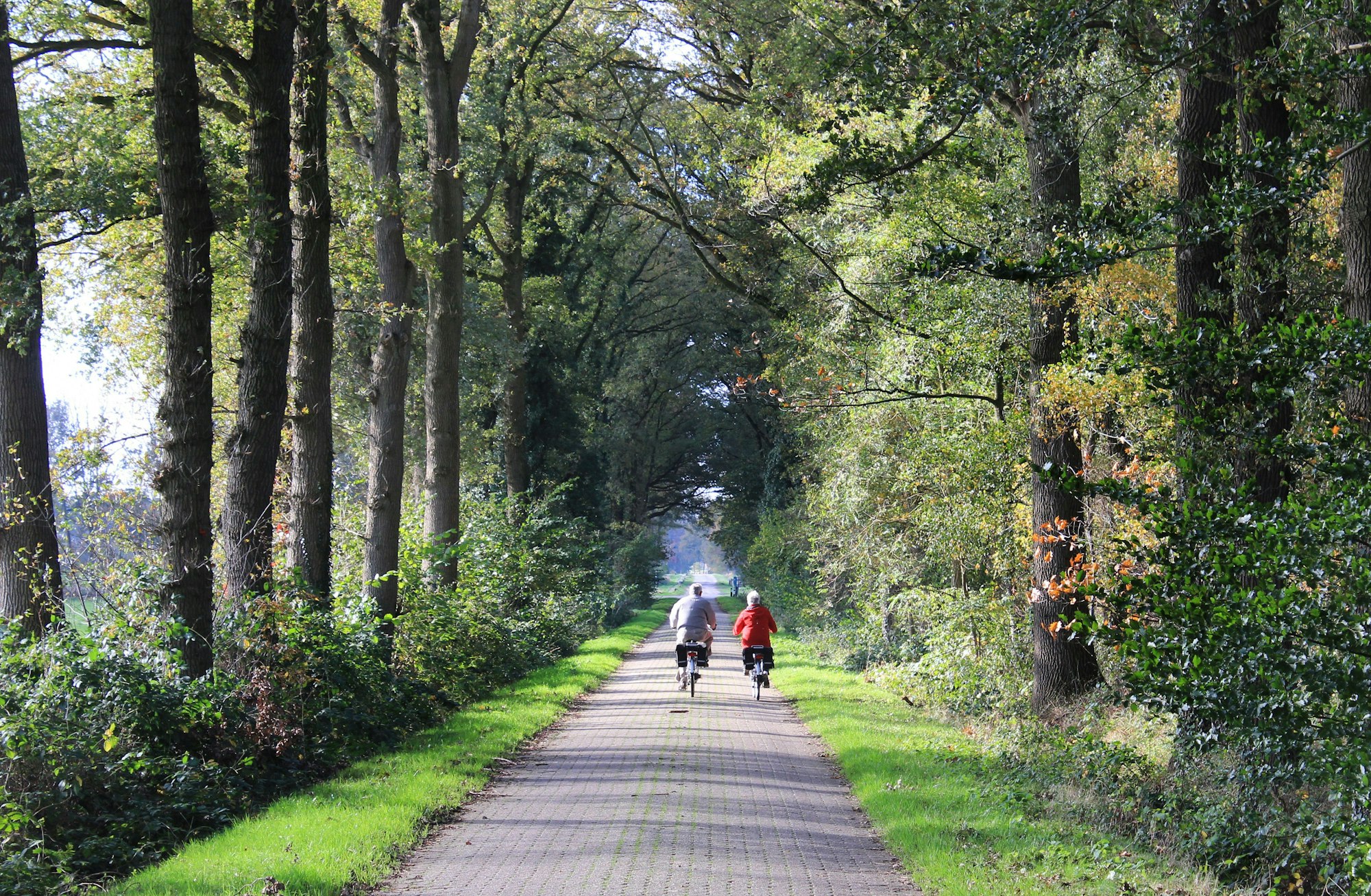 Paradies für Radler:Das Fahrradwegenetz rund um Winterswijk ist mehr als 500 Kilometer lang.