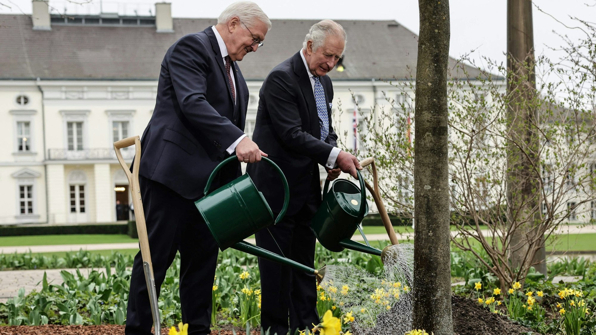 König Charles III (r.) und Bundespräsident Frank-Walter Steinmeier gießen gemeinsam Bäume und Blumen am Schloss Bellevue.AFP