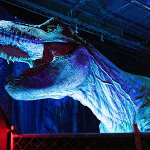 Lebensgroßer Dino in der Kölner Ausstellung