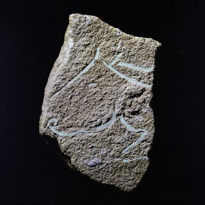 This photo taken on March 30, 2023 in Nimes on a computer screen shows an engraved plaque representing an isolated horse profile dating from the very beginning of the Magdelanian (- 20,000 years), during the presentation of a discovery by a team of Inra archaeologists during excavations at the Bellegarde site, south of France. (Photo by Pascal GUYOT / AFP)