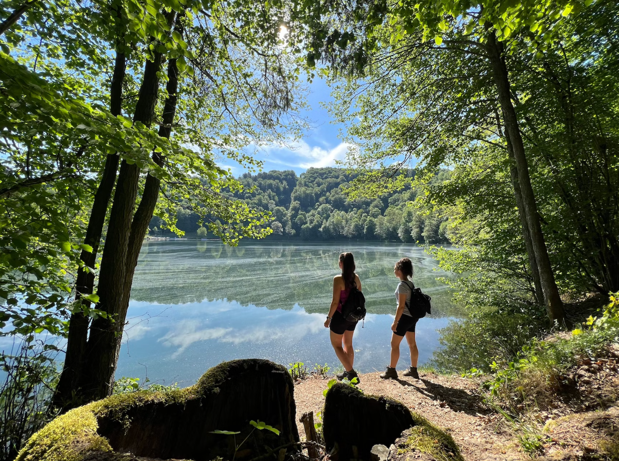 Einzigartige Naturkulisse für „Deutschlands schönste Wanderwege“: Die Dauner Maare.