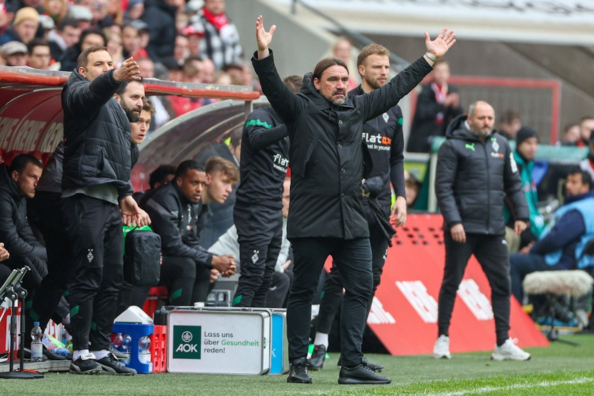 Trainer Daniel Farke von Borussia Mönchengladbach reklamiert im Derby gegen den 1. FC Köln am 2. April 2023 an der Seitenlinie und fordert einen Elfmeter.