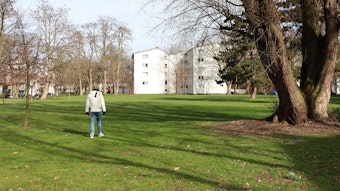 Ein Mann steht mitten auf einer Grünfläche, dort, wo die „Dewog“ vier neue Wohnhäuser bauen möchte.