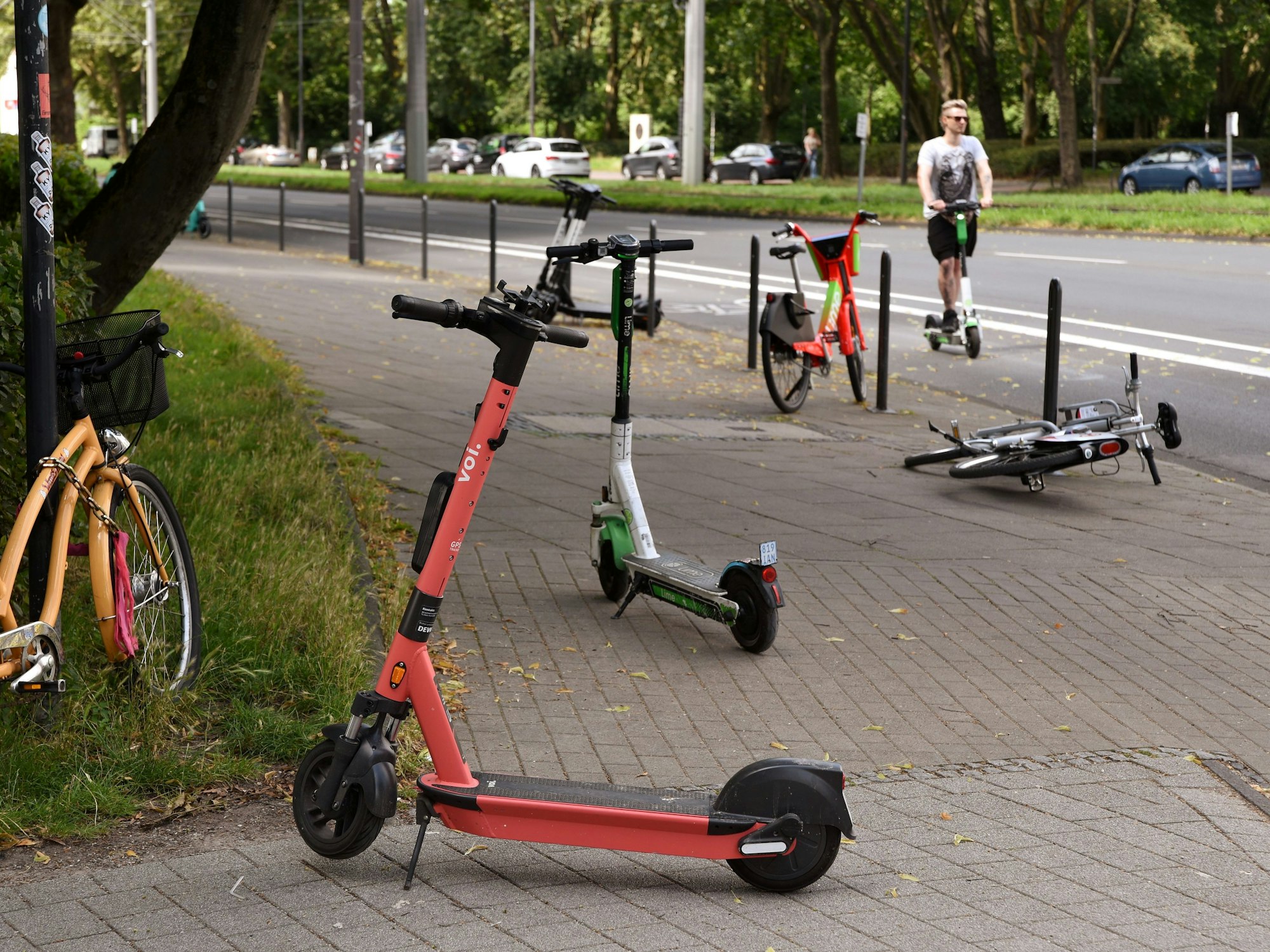 Mehrere E-Scooter sind auf einem Gehweg in Köln abgestellt und versperren dort den Weg.