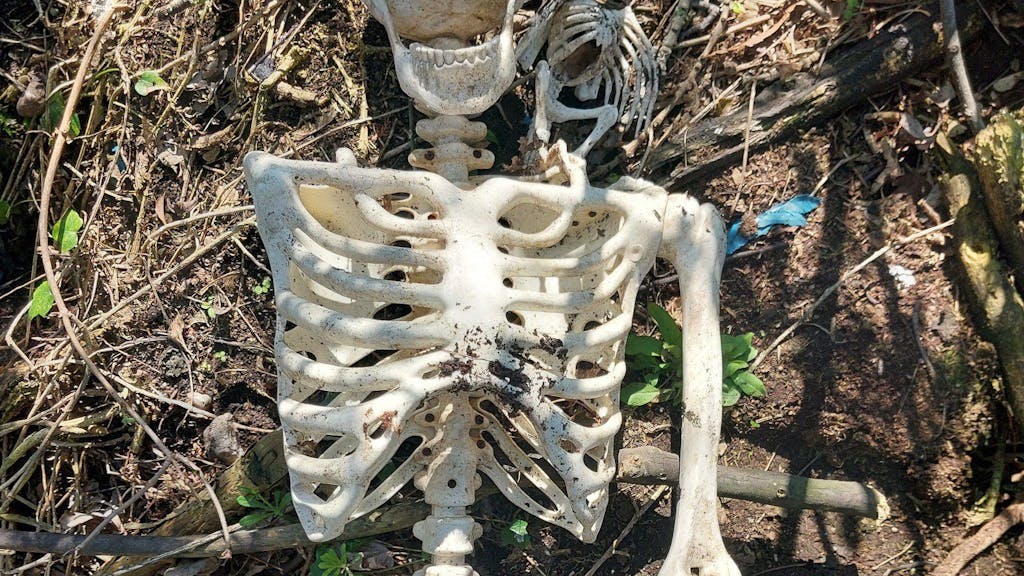 Dieses undatierte von der Polizei Derbyshire herausgegebene Foto zeigt ein Spielzeugpiraten-Skelett aus Plastik.