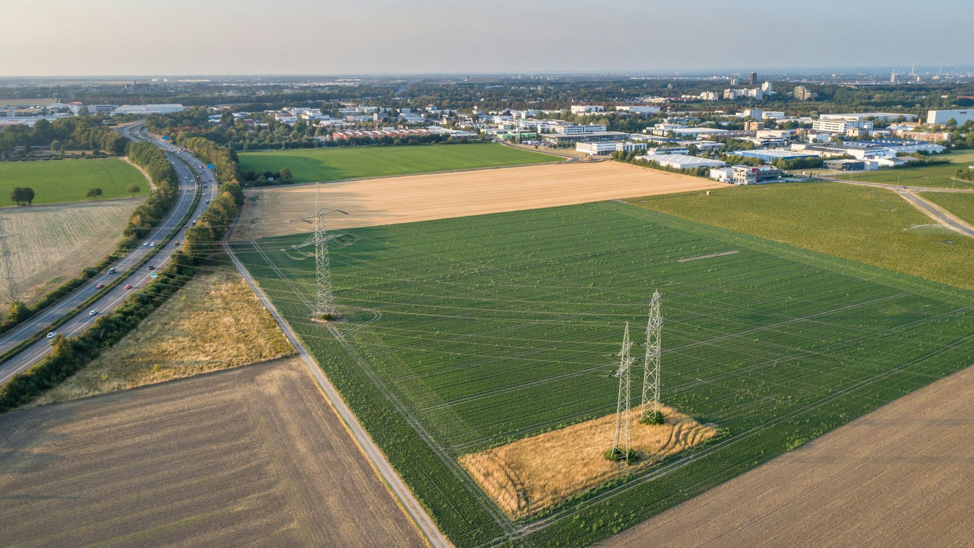 Das Bild zeigt eine landwirtschaftliche Fläche zwischen der Autobahn 1 und dem Gewerbegebiet in Köln-Marsdorf.