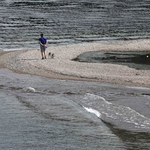 Ein Mann geht mit seinem Hund am Comer See spazieren.&nbsp;