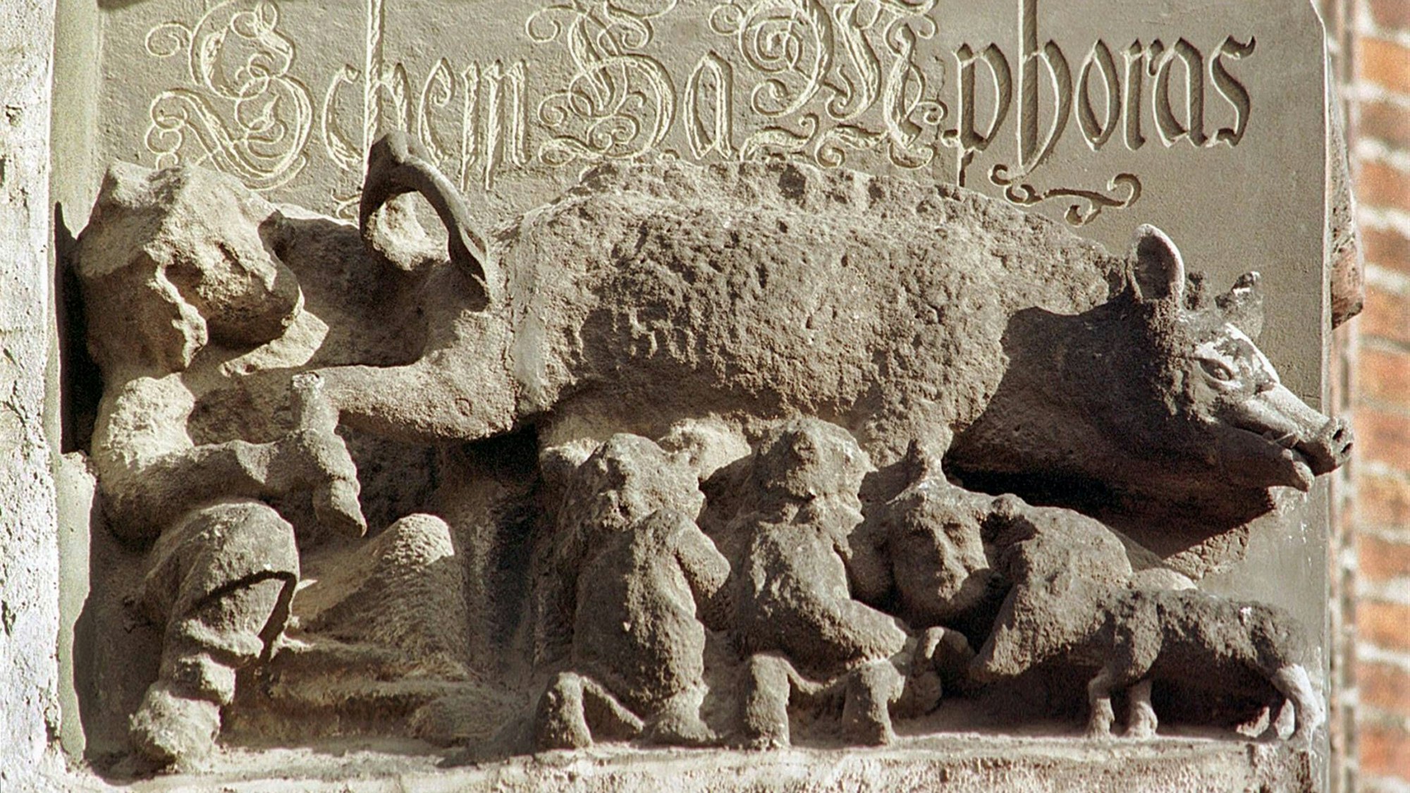 Judensau an der Stadtkirche St. Marien in der Lutherstadt Wittenberg (Sachsen-Anhalt) mit der Inschrift Rabini, Schem Ha Mphoras (hebr. der unverstellte Name).