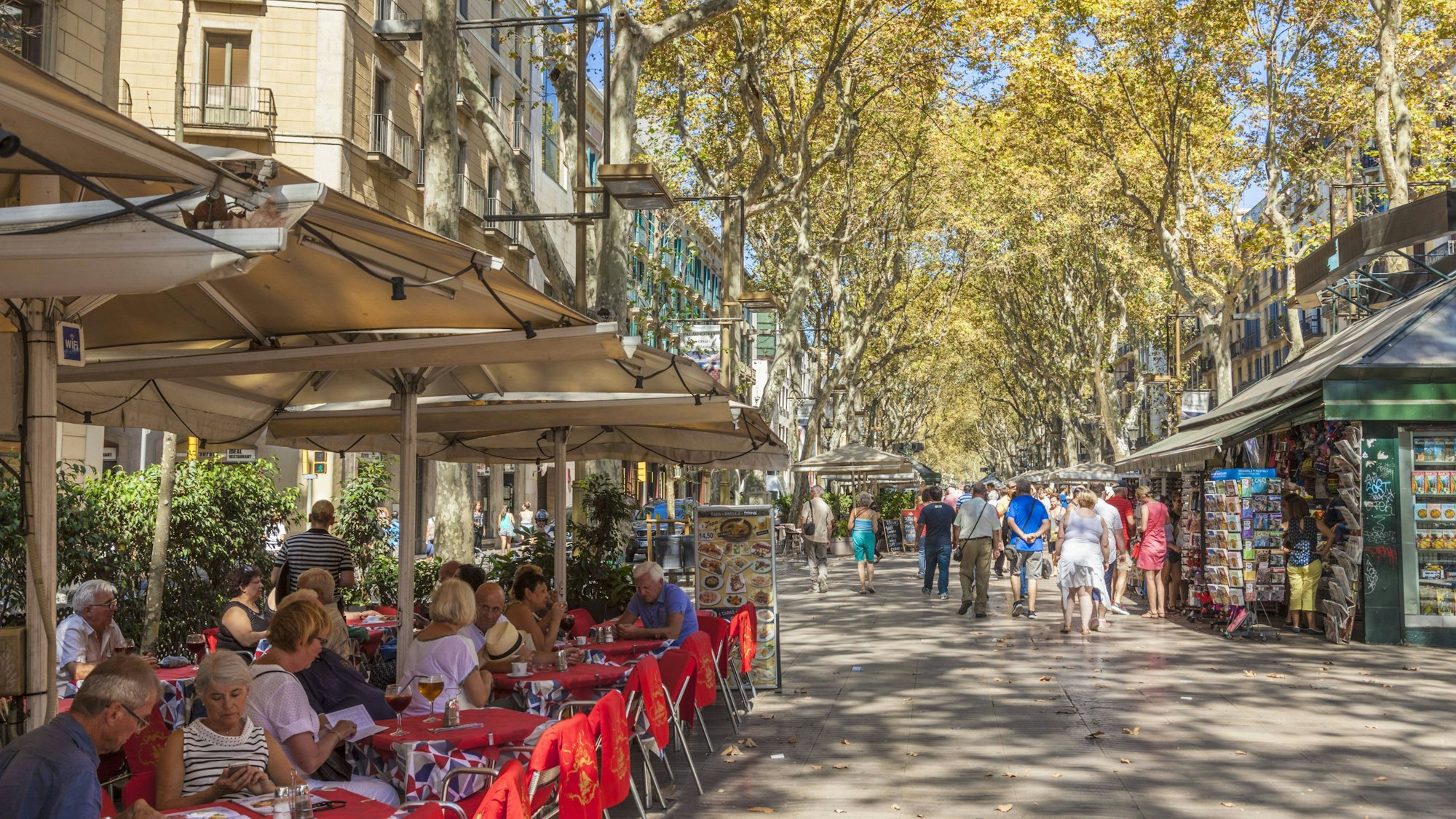 Blick auf die Ramblas in Barcelona, wo es einheitliche Schirme und hohe Bäume gibt.