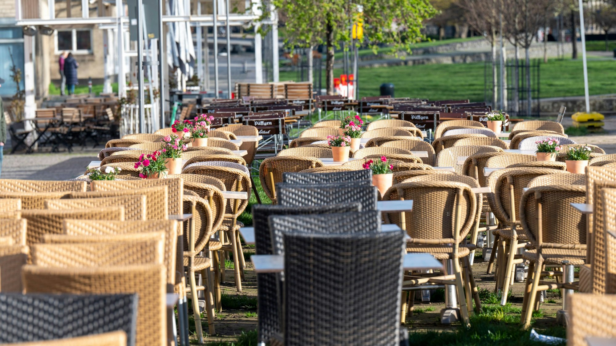 Tische und Stühle stehen auf der Wiese im Rheingarten.