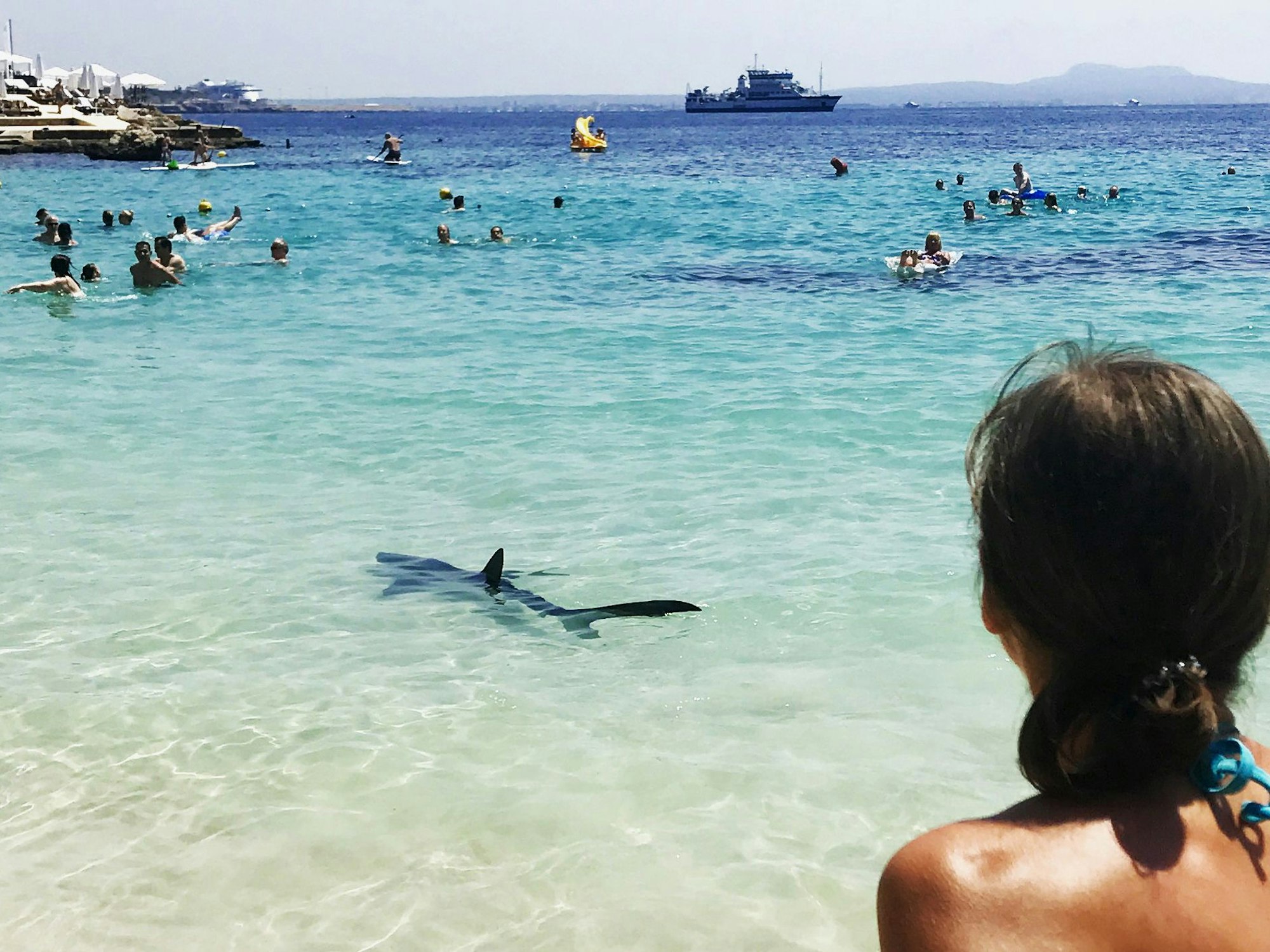Das Foto aus dem Jahr 2017 zeigt einen Hai, der vor Palma de Mallorca im Meer schwimmt. Um ihn herum befinden sich Menschen im Wasser, im Hintergrund fahren Schiffe.