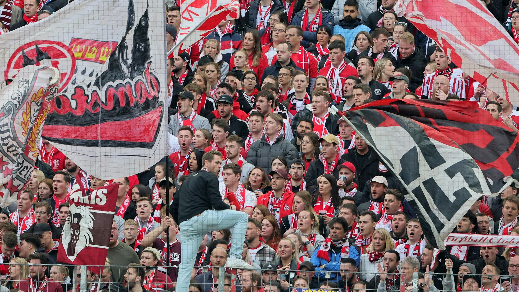 Die Fans des 1. FC Köln machen Stimmung im Heimspiel gegen den FSV Mainz 05.