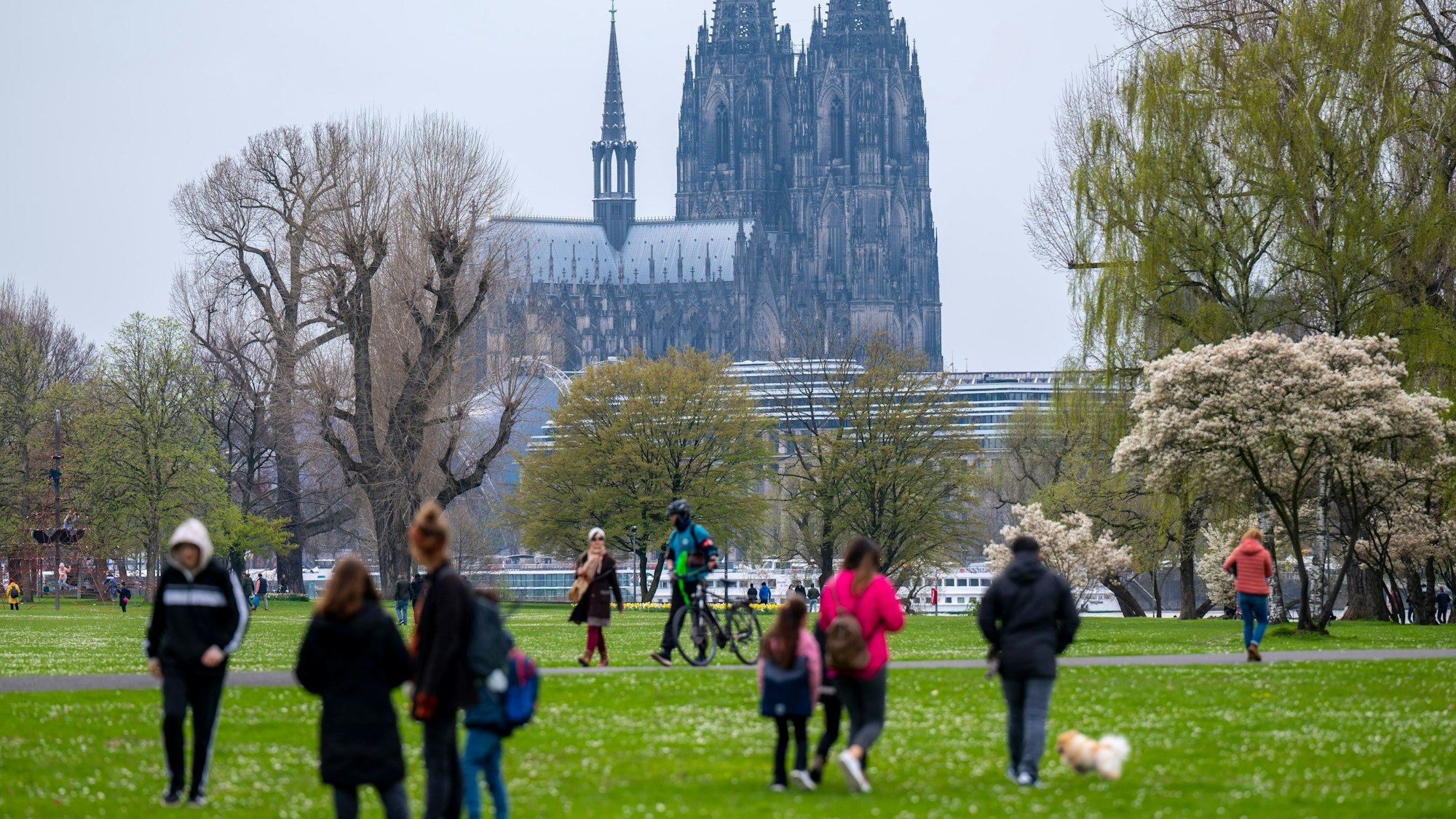 08.04.2023, Köln: Im Rheinpark nutzen viele das trockene Wetter für einen Osterspaziergang. Foto: Uwe Weiser