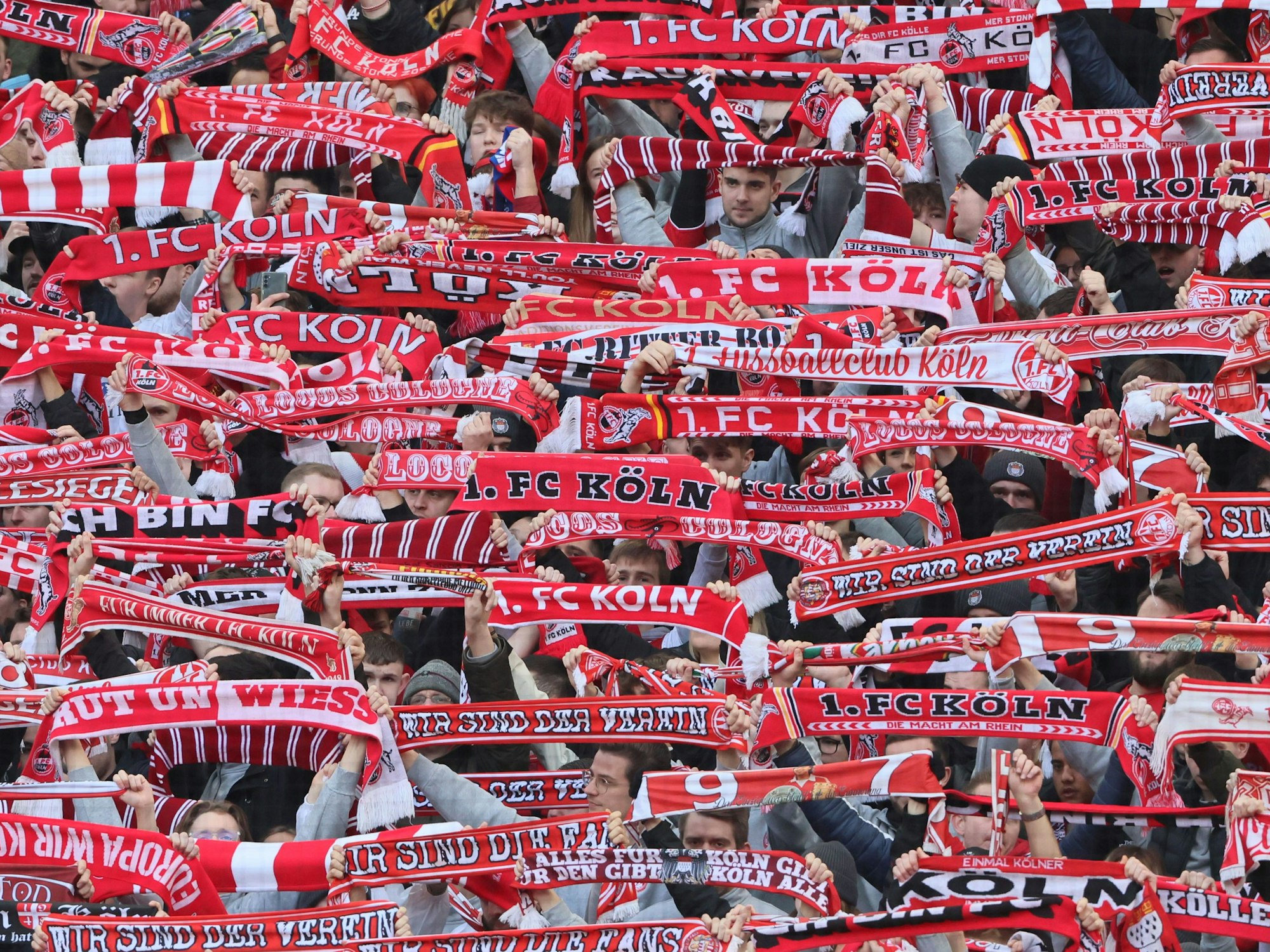 Fans des 1. FC Köln halten Schals hoch.
