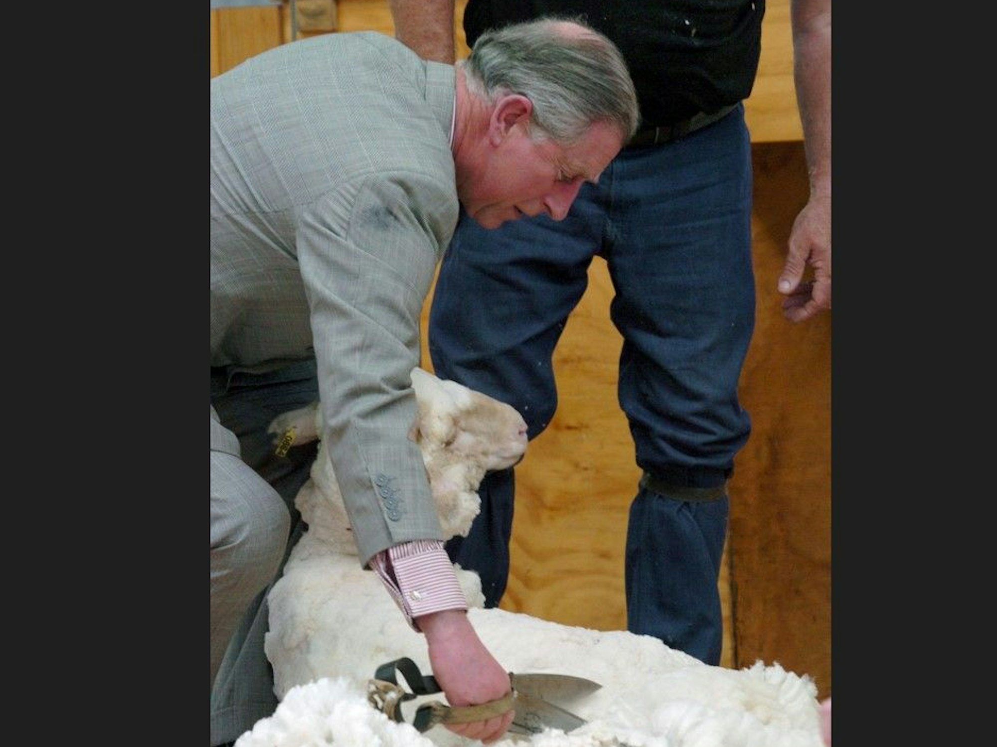 Am 7. März 2005 schert der damalige Prinz Charles (heute König Charles III.) ein Schaf in Neuseeland.