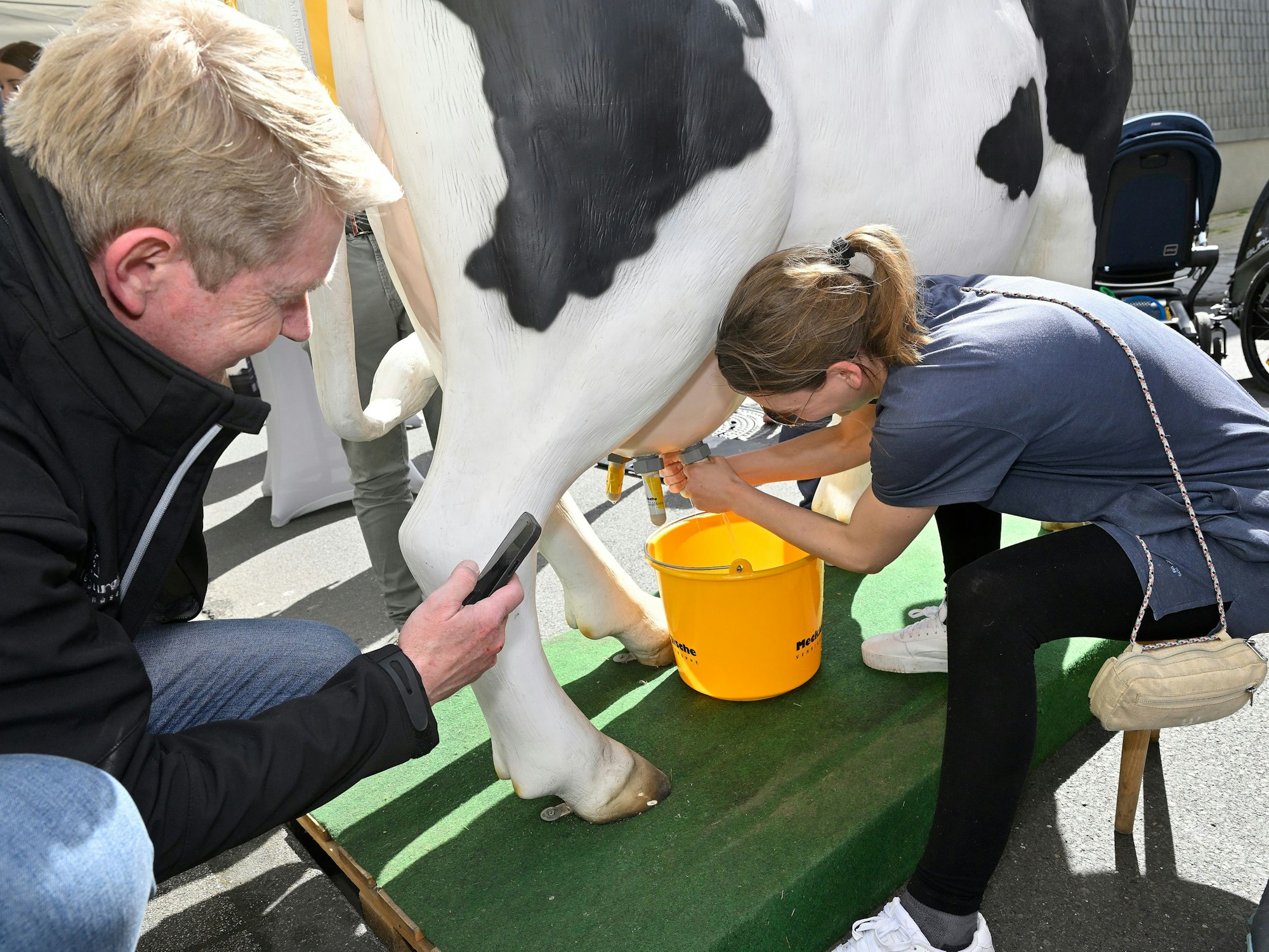 Eine Frau melkt eine Kuh aus Kunststoff. Dabei spritzt Wasser aus dem künstlichen Euter in einen Eimer.