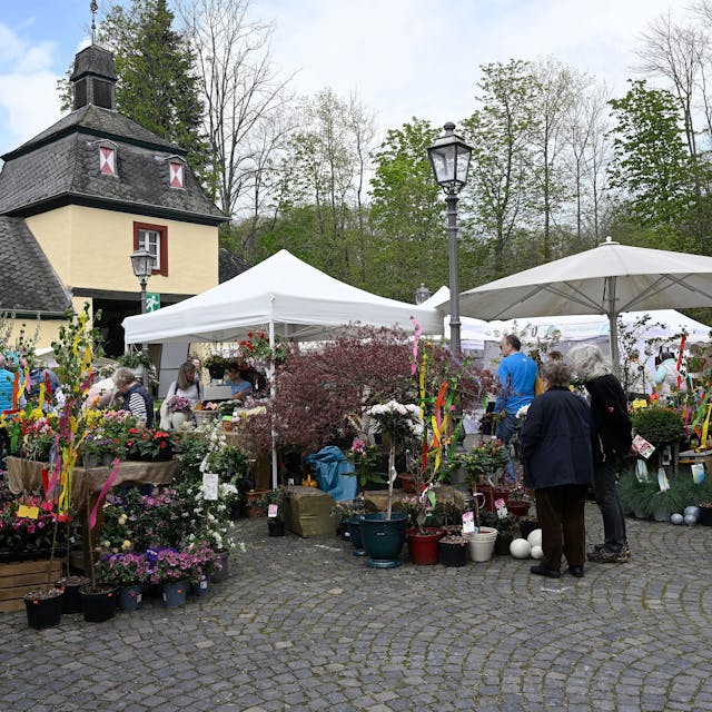 Pflanzen und Gartenartikel sind nur ein Teil des vielfältigen Angebots beim Frühlingsmarkt in Schloss Eulenbroich in Rösrath. Am Wochenende nach den Osterferien sind dort 120 Stände präsent.