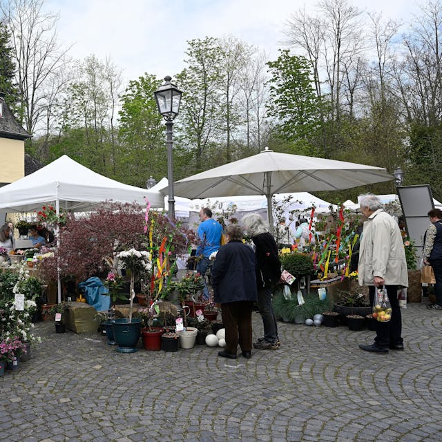 Pflanzen und Gartenartikel sind nur ein Teil des vielfältigen Angebots beim Frühlingsmarkt in Schloss Eulenbroich in Rösrath. Am Wochenende nach den Osterferien sind dort 120 Stände präsent.