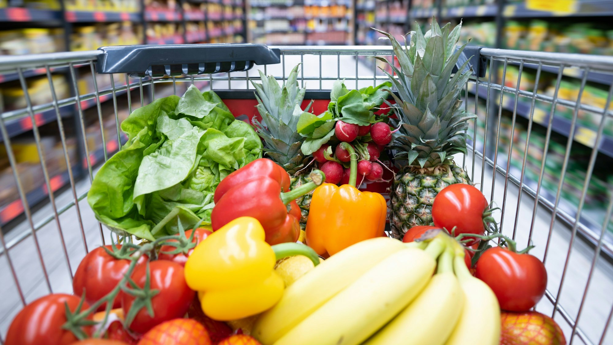 Ein Einkaufskorb mit Obst und Gemüse steht in einem Supermarkt. Der kräftige Anstieg der Lebensmittelpreise in den vergangenen Monaten ist nach Einschätzung des Kreditversicherers Allianz-Trade nicht nur auf die gestiegenen Rohstoffkosten und Energiepreise zurückzuführen.