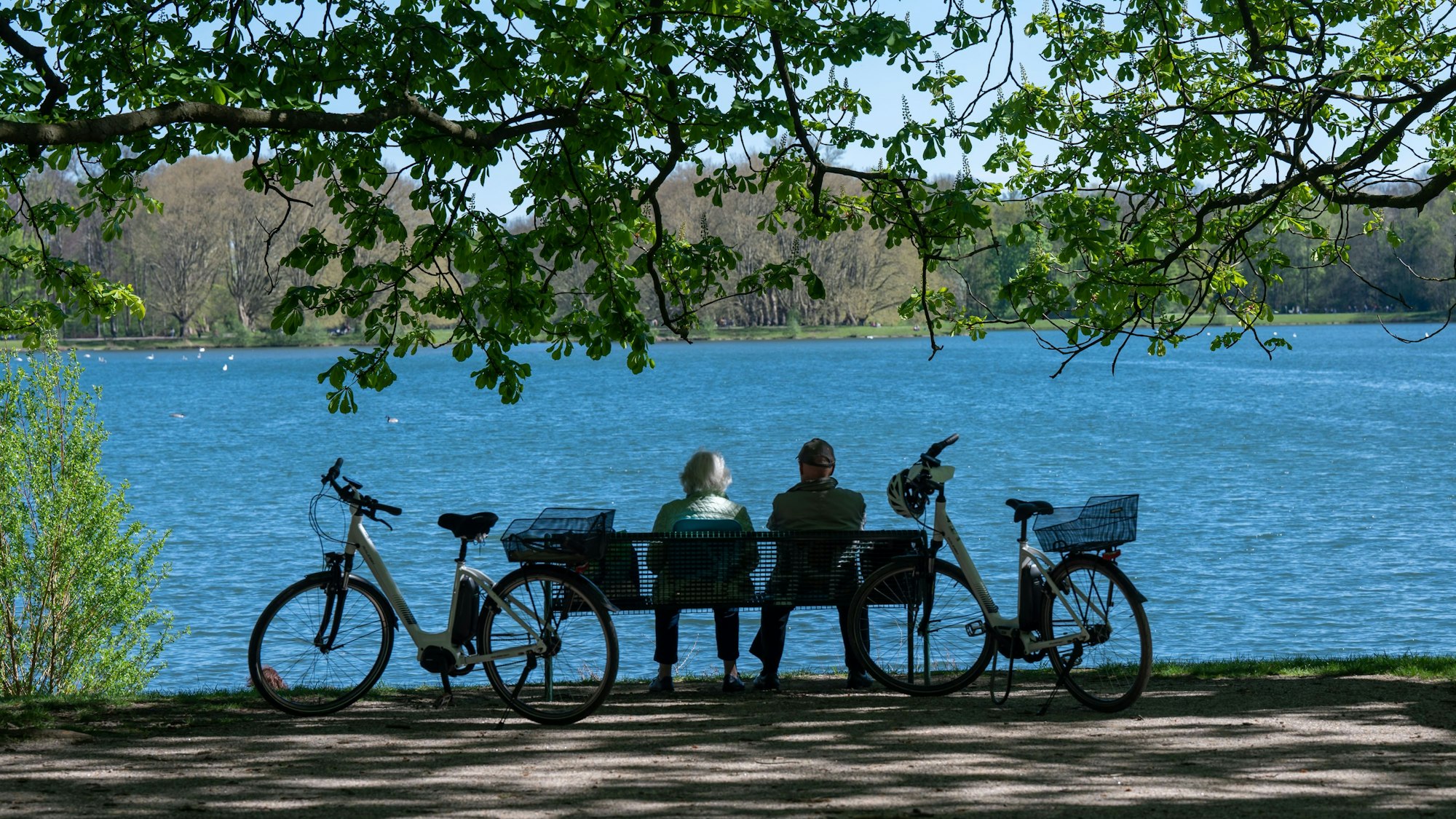 ein Paar sitzt auf einer Parkbank mit Blick auf einen Weiher, neben ihnen stehen zwei Fahrräder