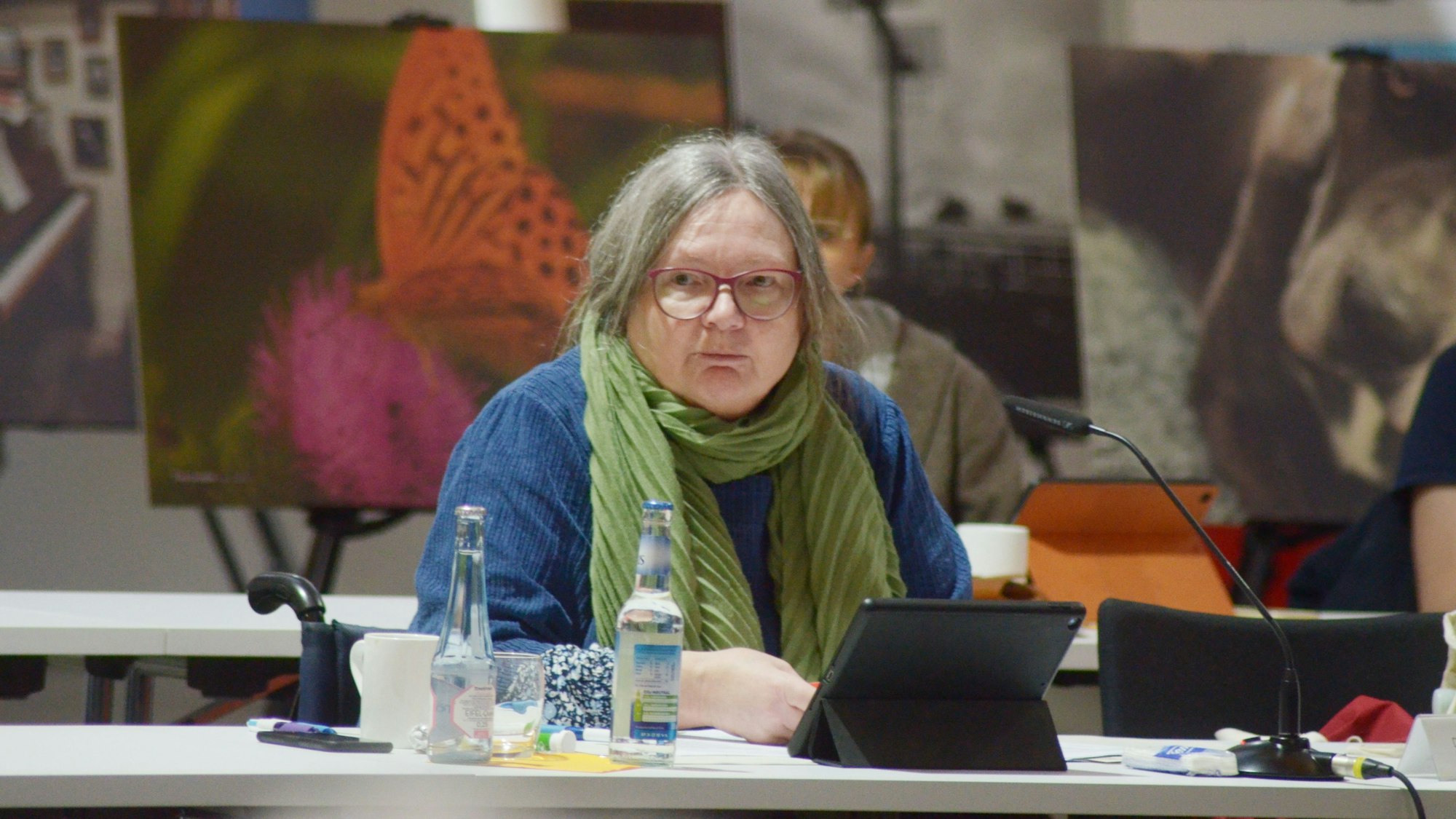 Dorothee Kroll, Fraktionsvorsitzende von Bündnis 90/Die Grünen, in der Sitzung des Euskirchener Stadtrats im Wohnraum in der Alten Tuchfabrik